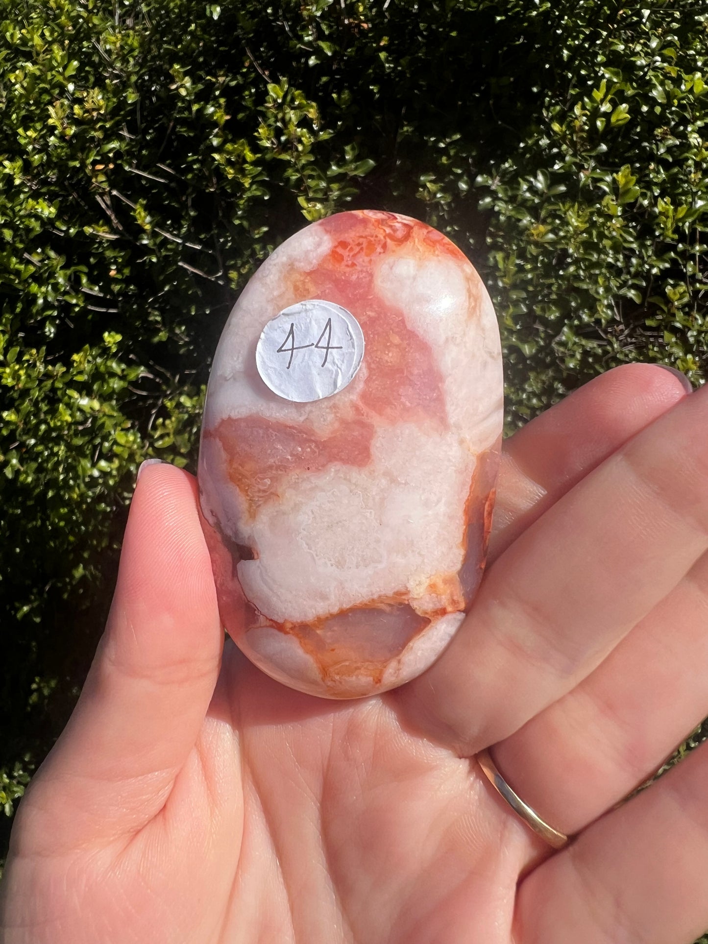 Carnelian Flower Agate Palm Stone