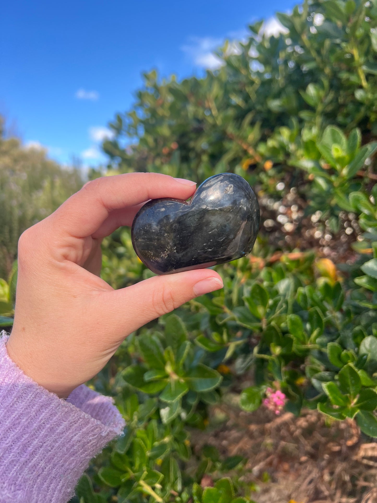 Labradorite- Misfit