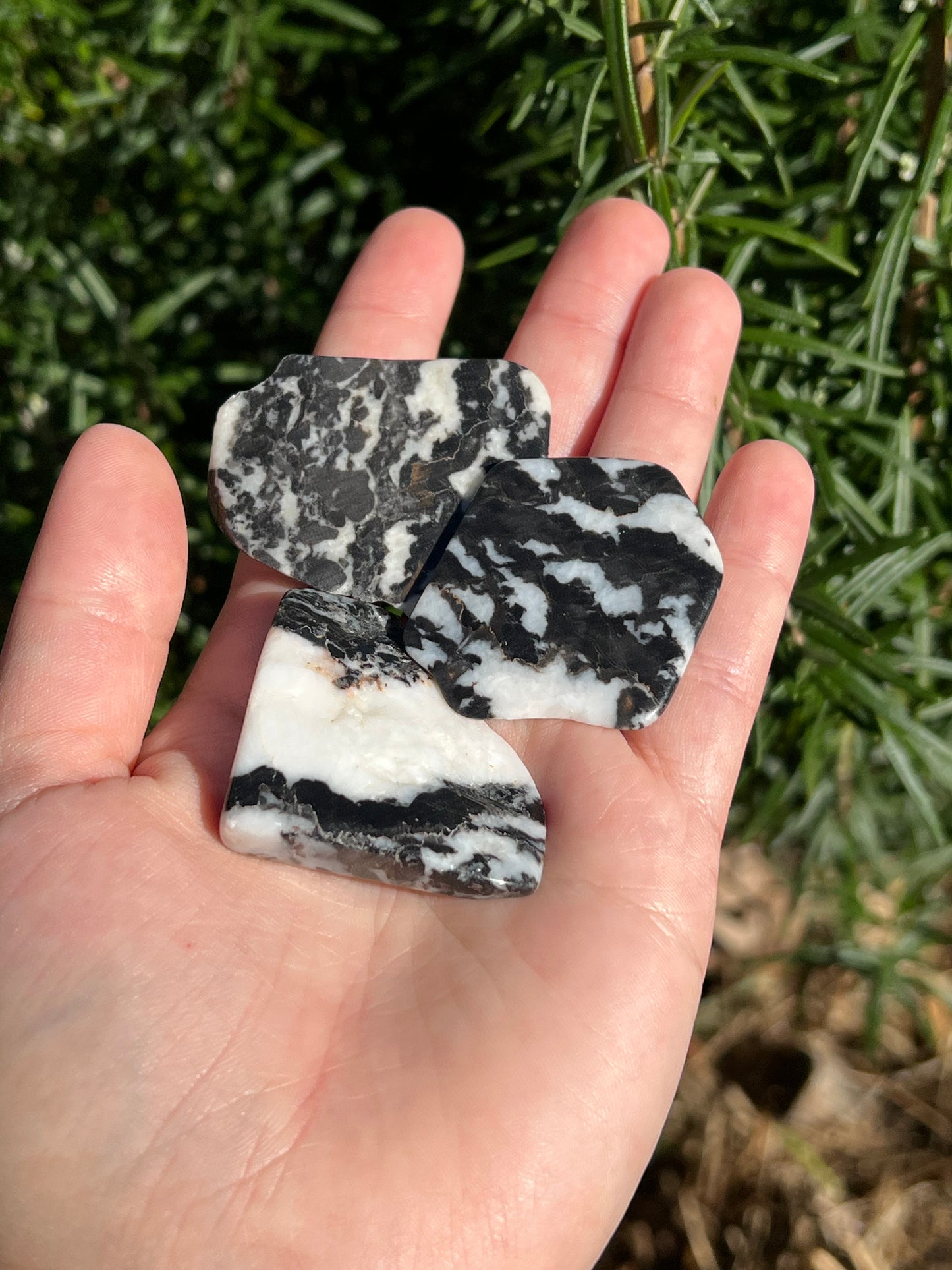 Zebra Jasper Slab Mini