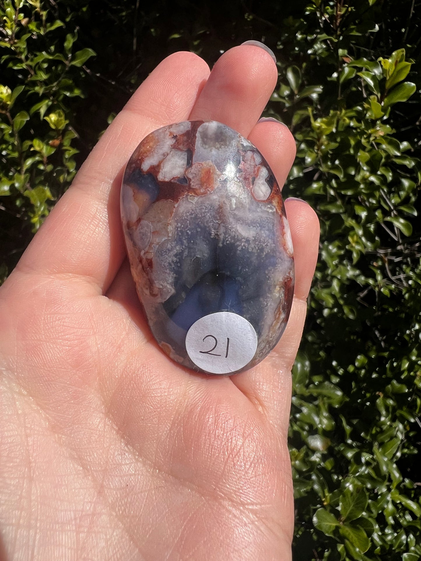 Blue Flower Agate Palmstone