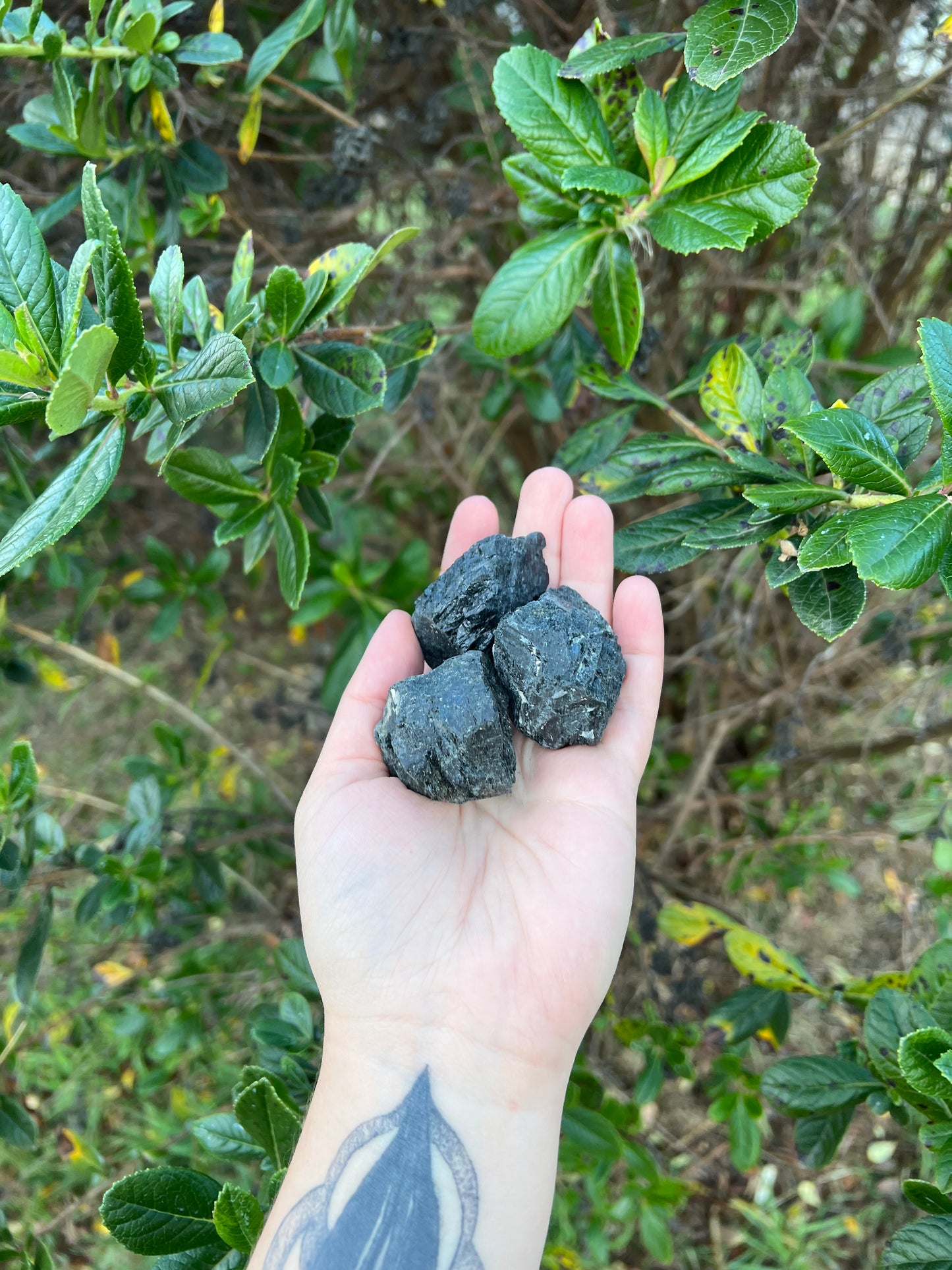 Black Tourmaline Rough