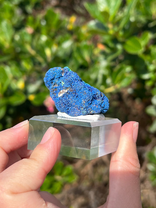 Azurite & Malachite Specimen