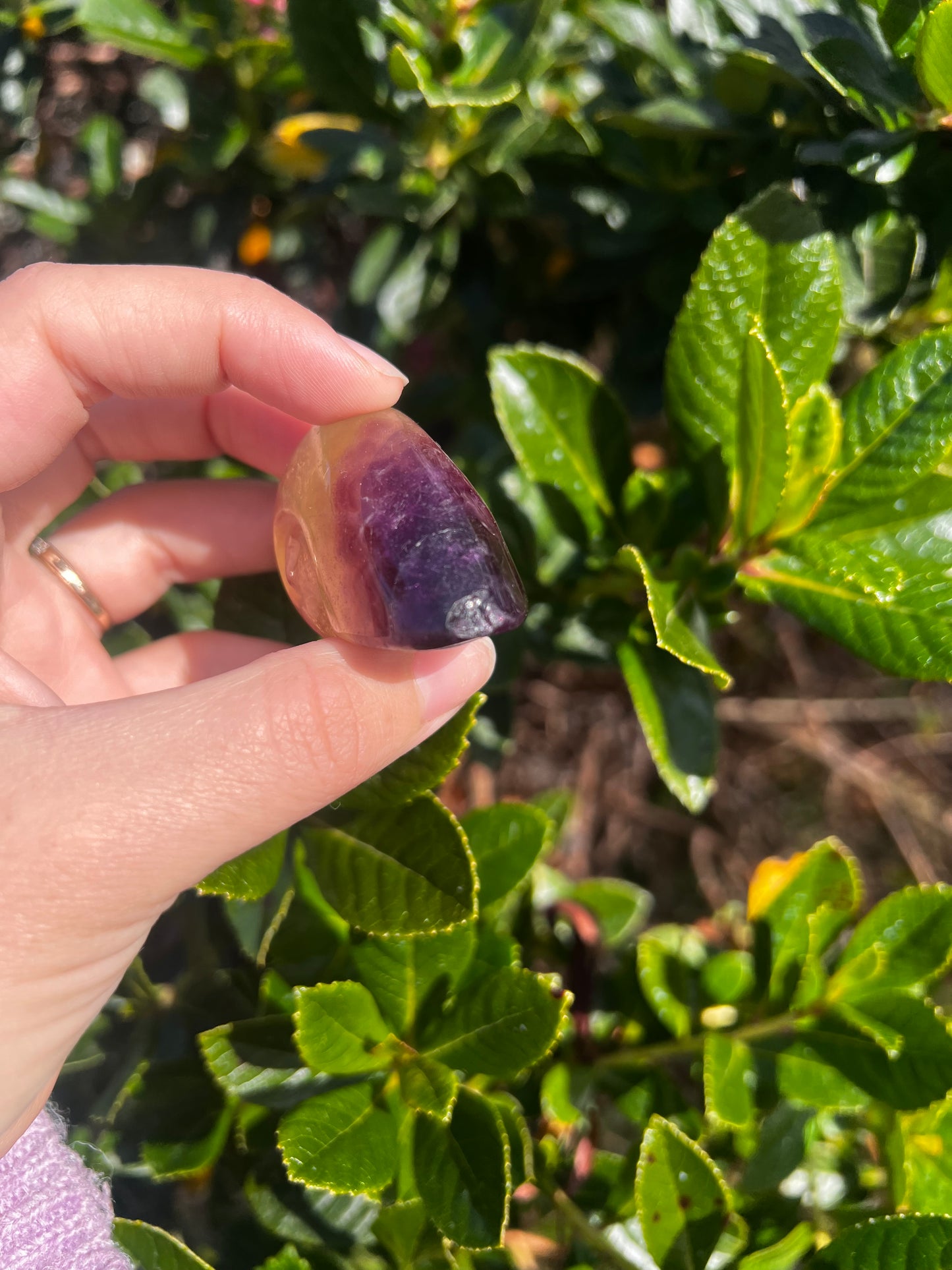 Candy Fluorite Shell- Misfit