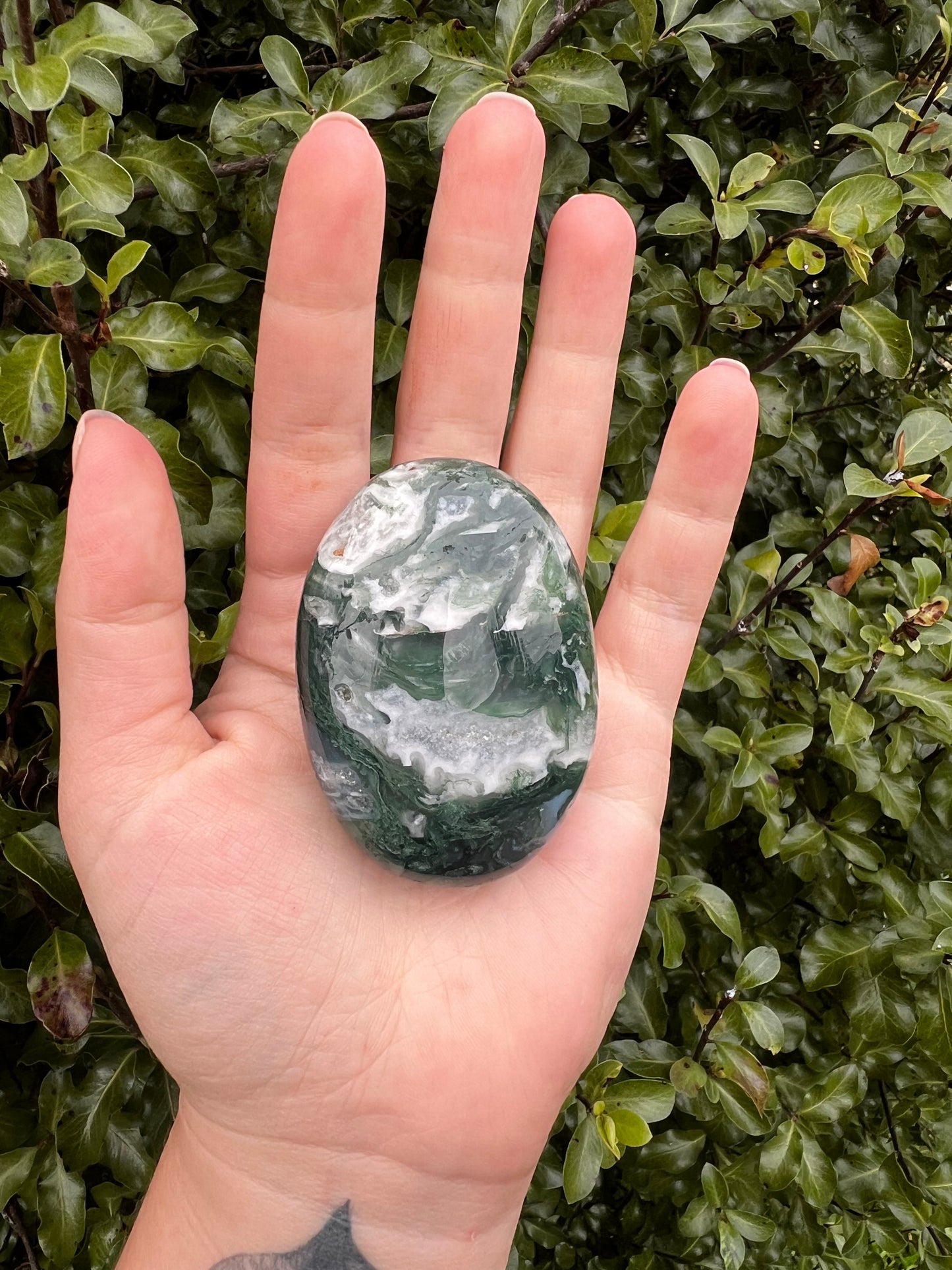 Moss Agate Palmstone