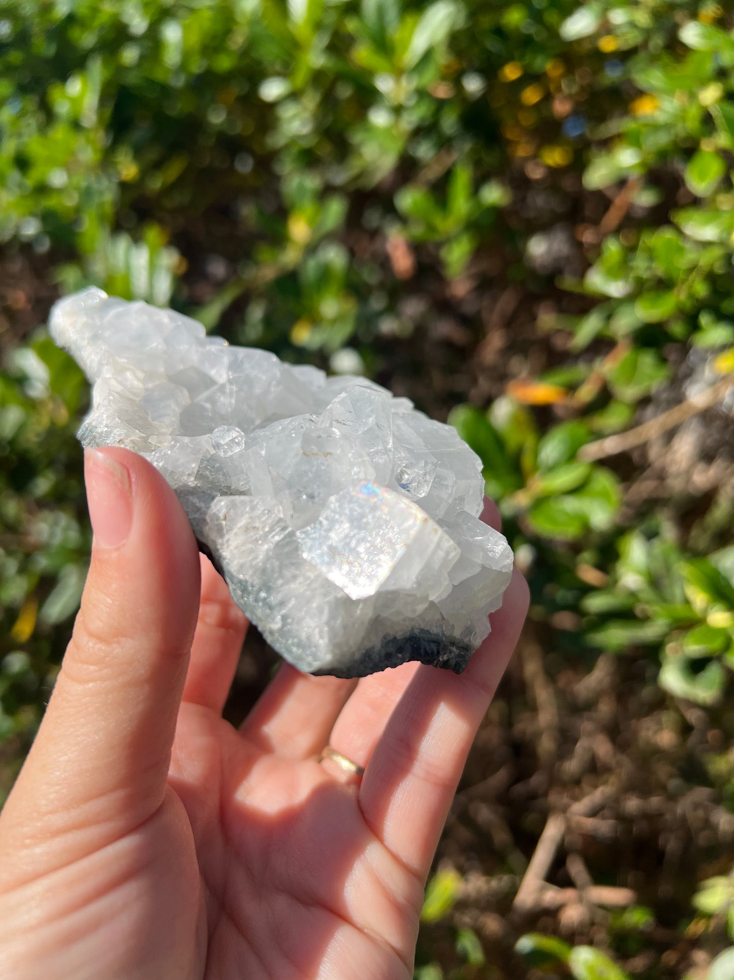Apophyllite Cluster