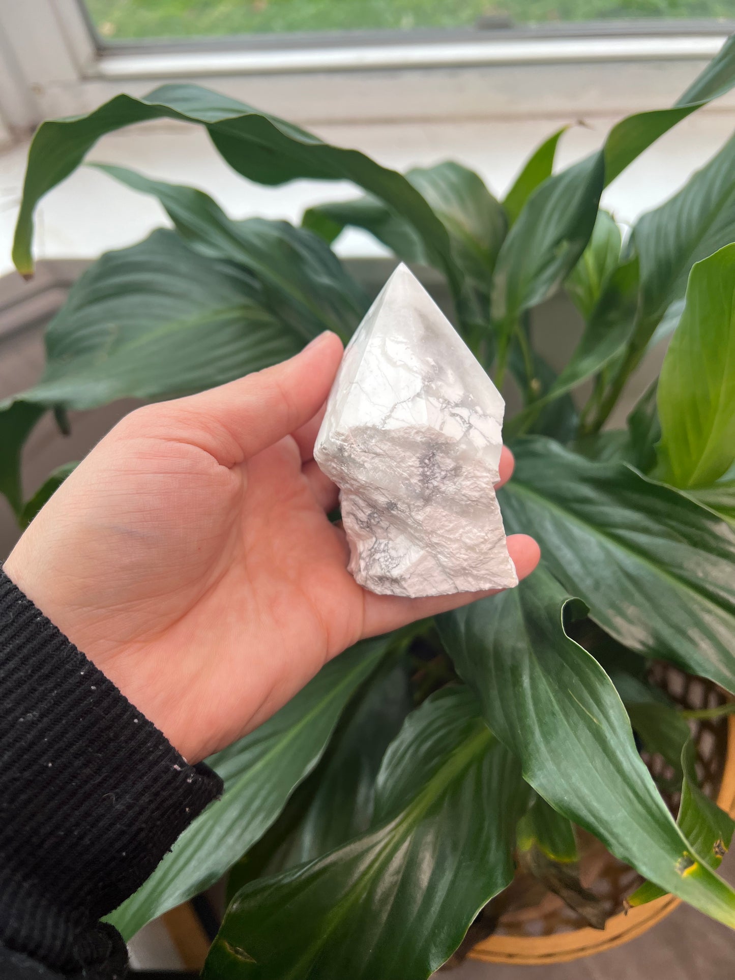 Howlite Polished Point Rough