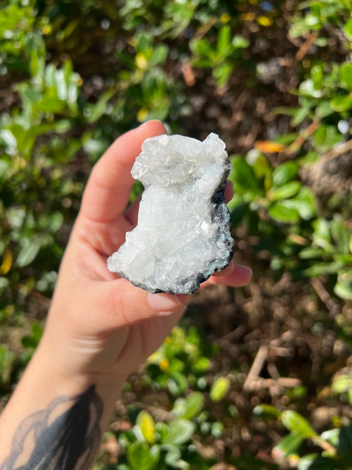 Apophyllite Cluster