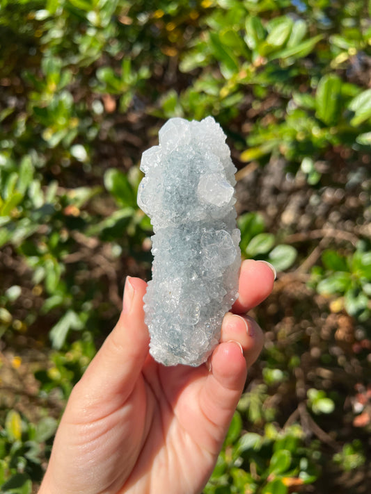 Apophyllite Cluster