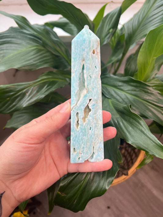 Aragonite Tower