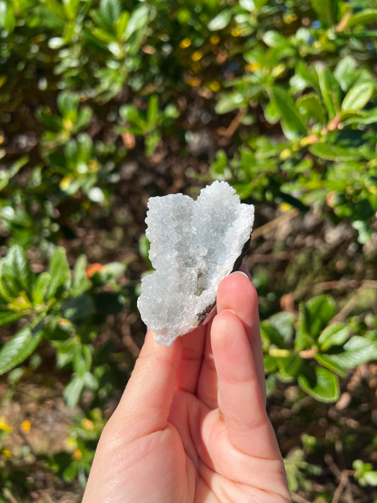 Apophyllite Cluster