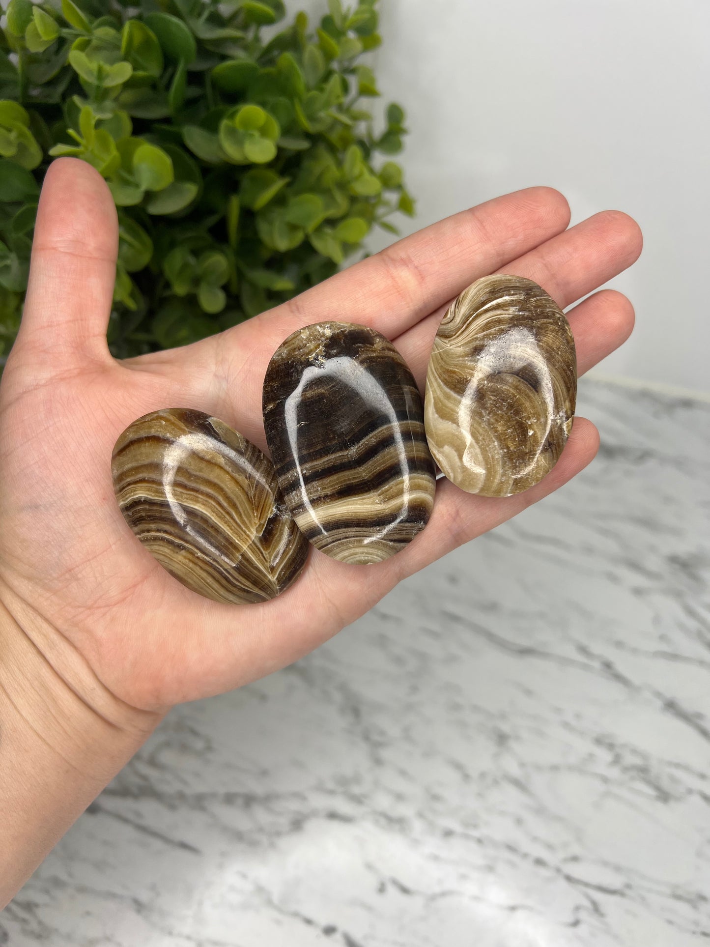 Chocolates Calcite Palmstones