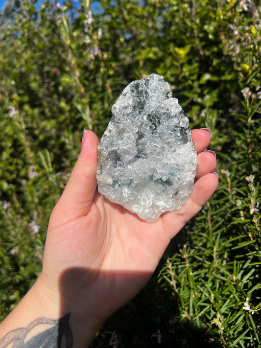 Apophyllite Cluster