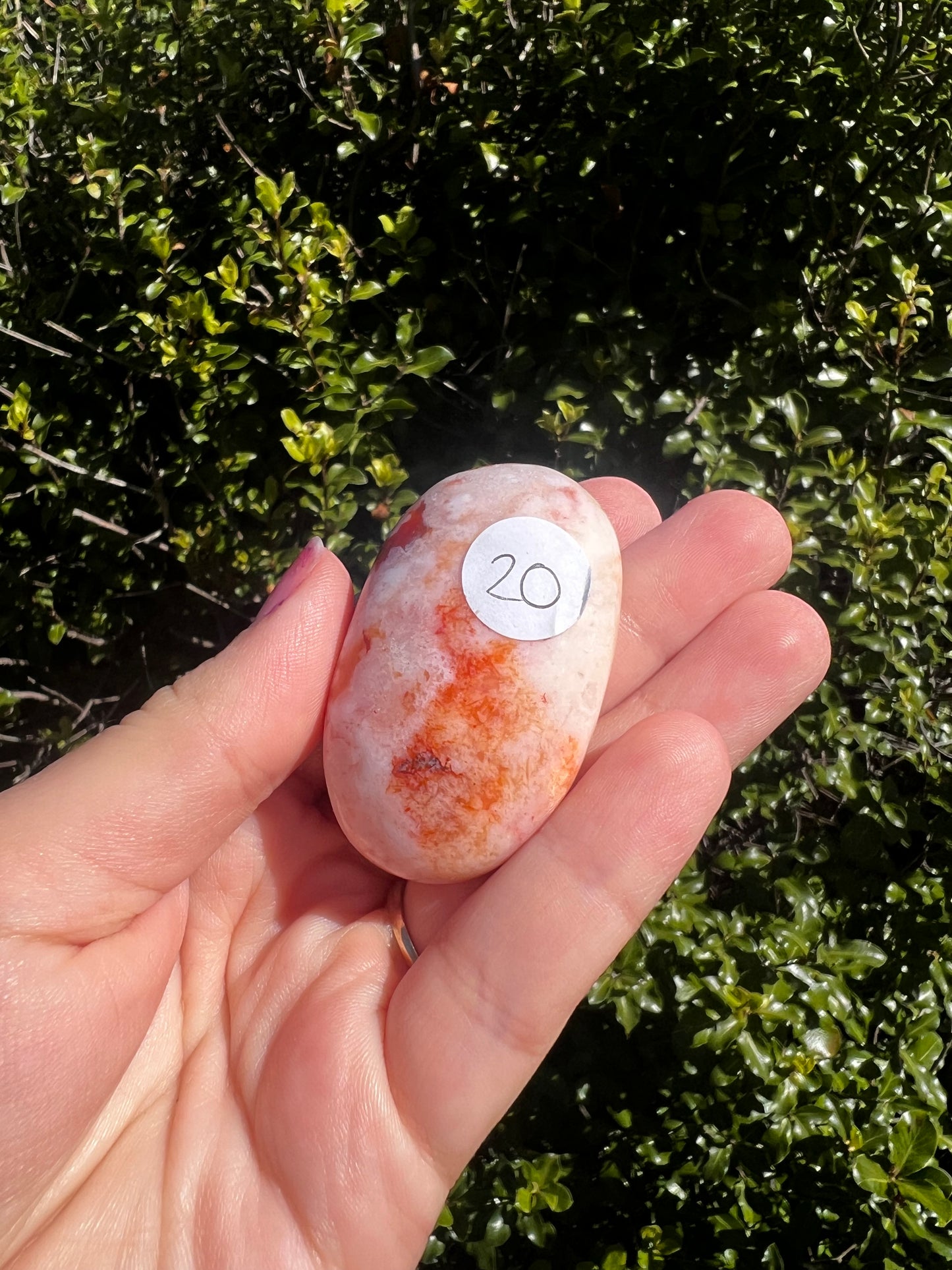 Carnelian Flower Agate Palm Stone