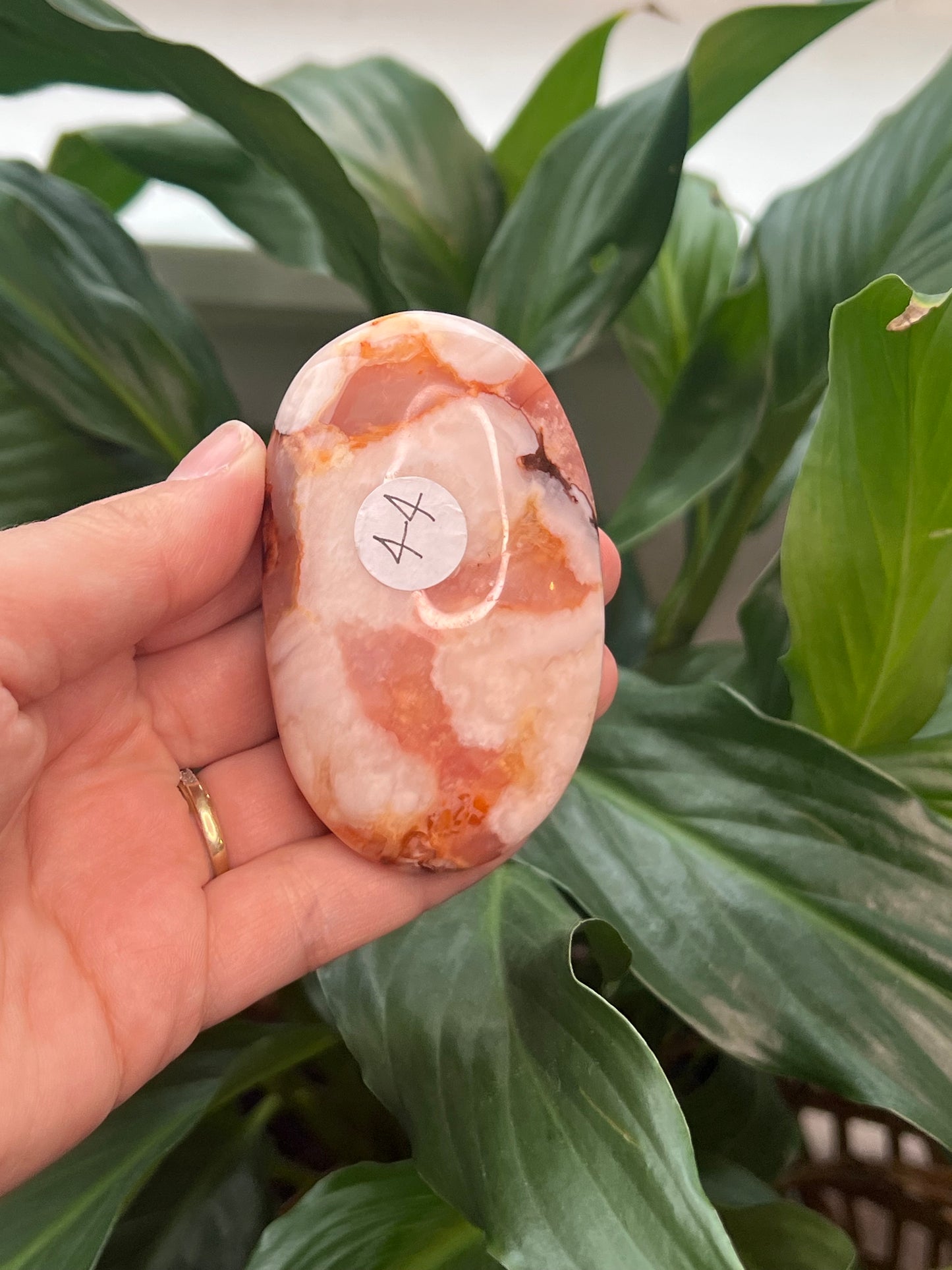 Carnelian Flower Agate Palm Stone