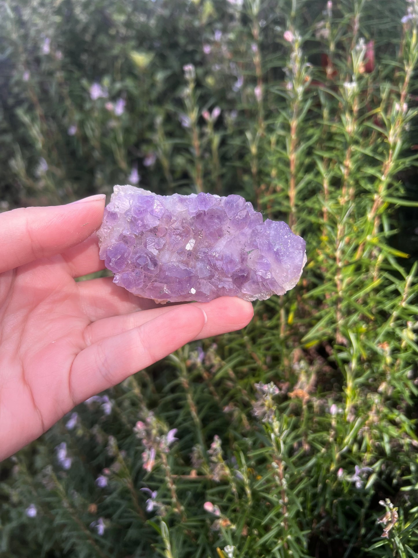 Amethyst Cluster