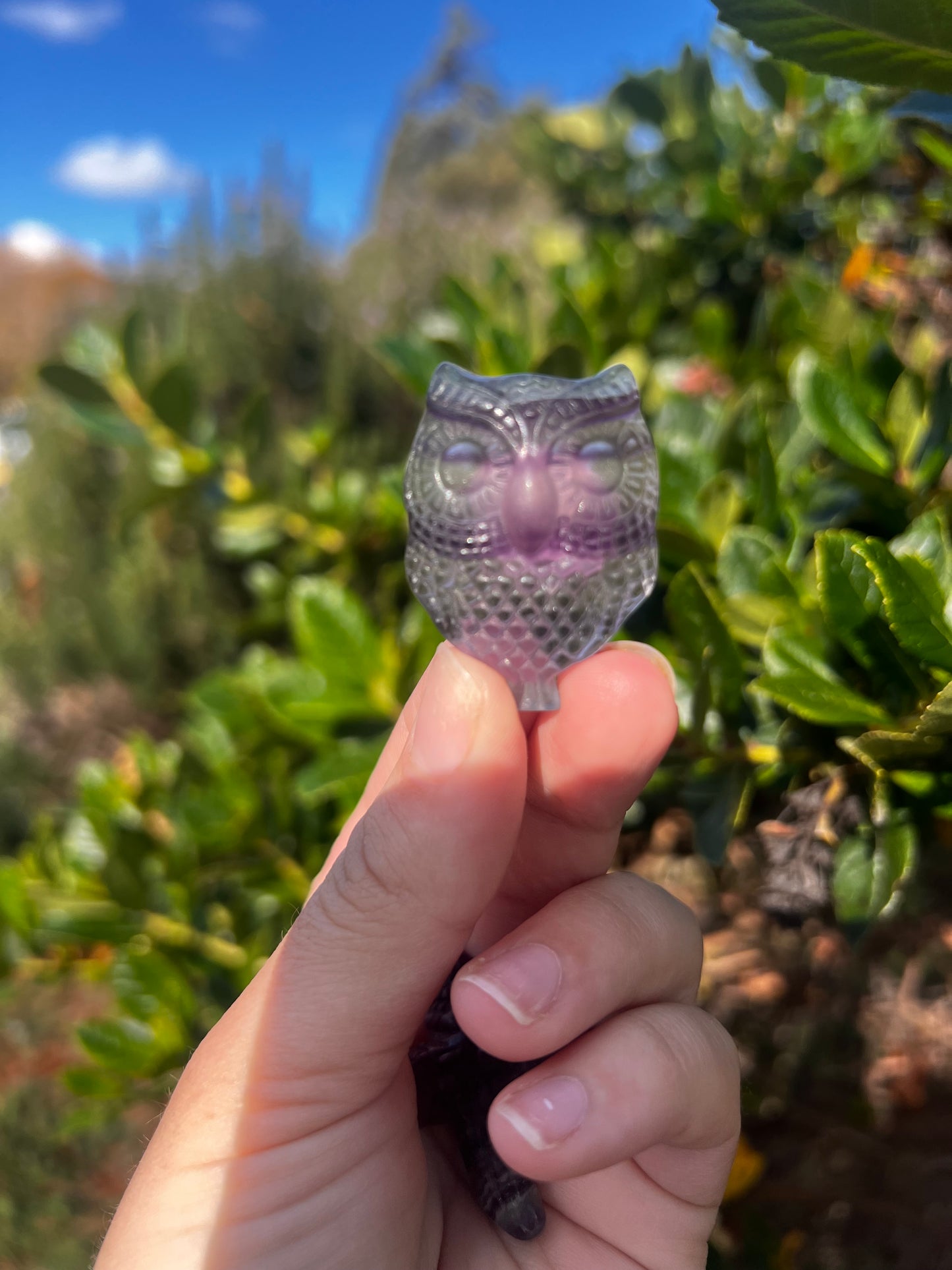 Candy Fluorite Owl Carving