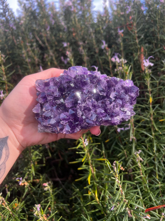 Amethyst Cluster- Statement Piece (From Uruguay)