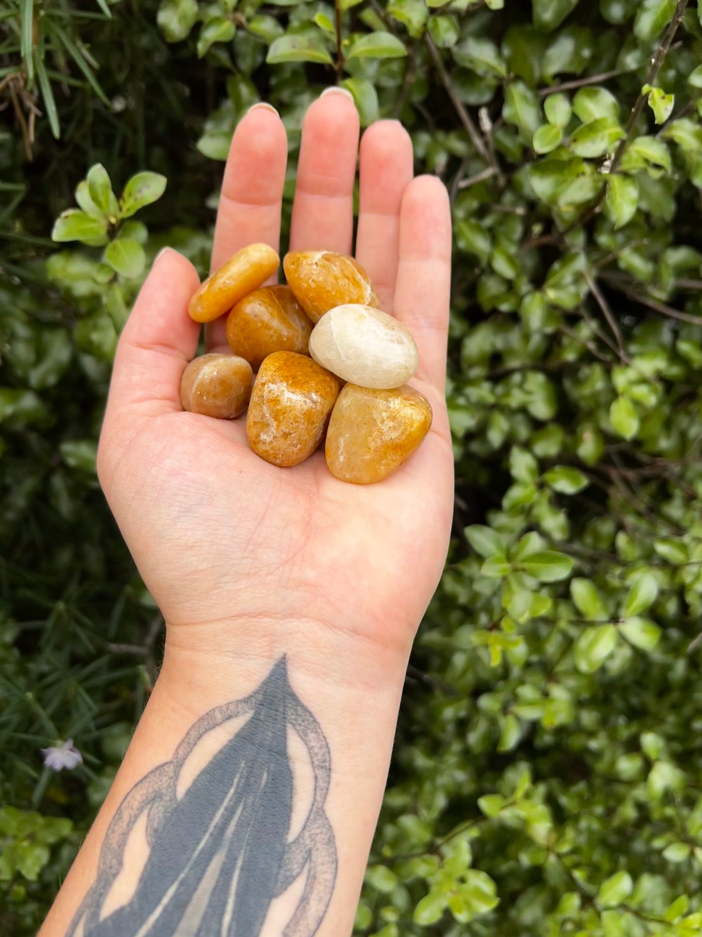 Yellow Aventurine Tumbles