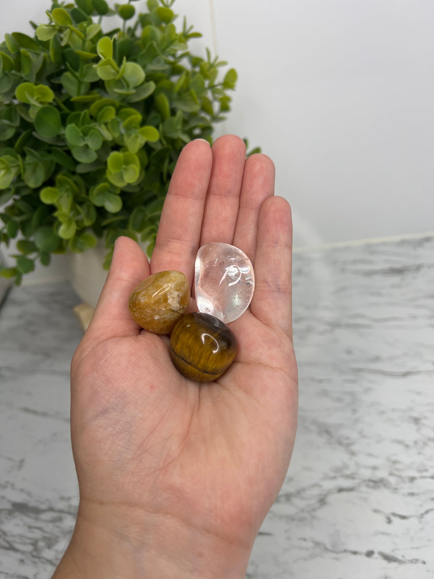 Confidence & Motivation Trio