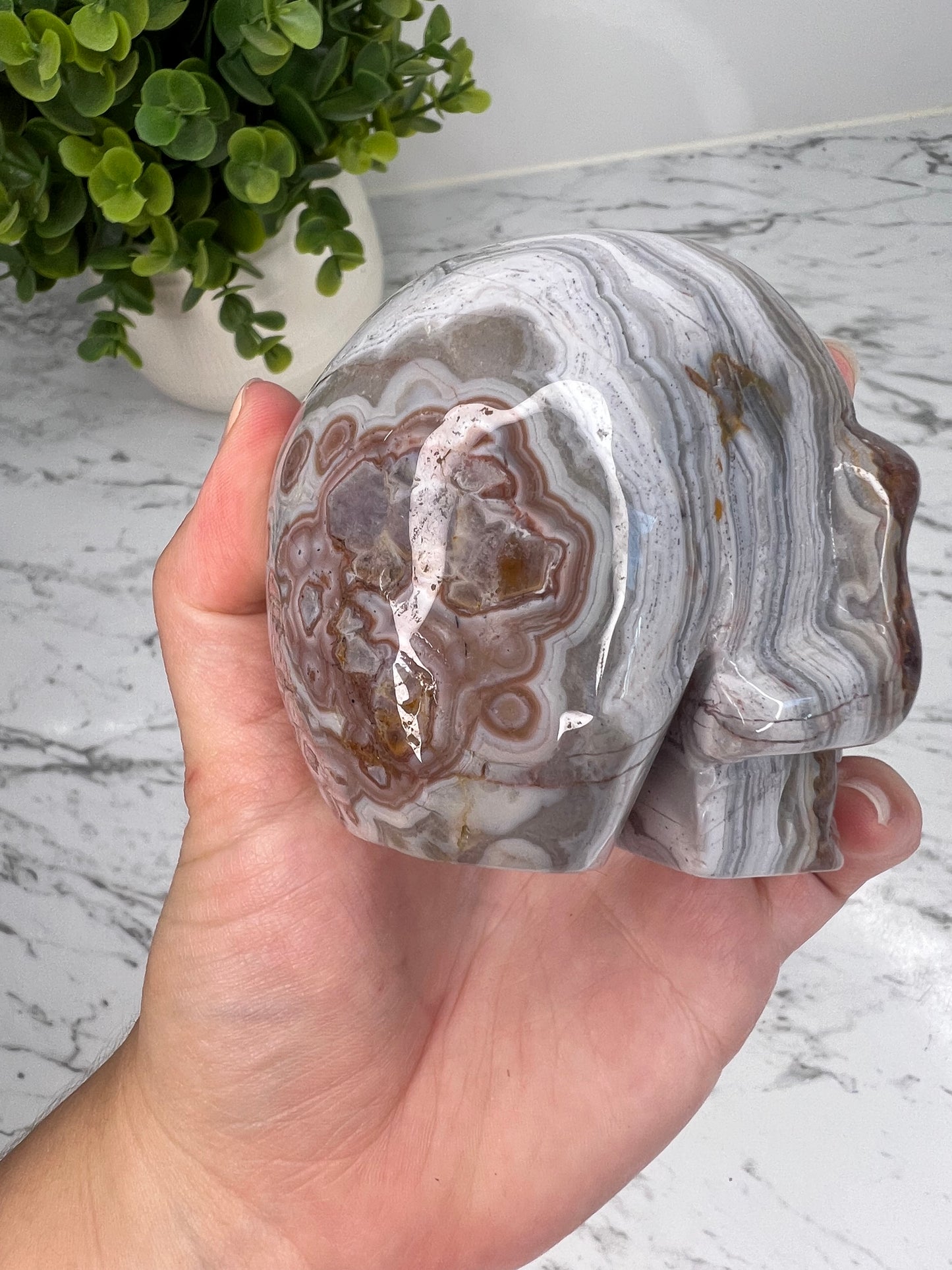 Crazy Lace Agate + Amethyst Skull