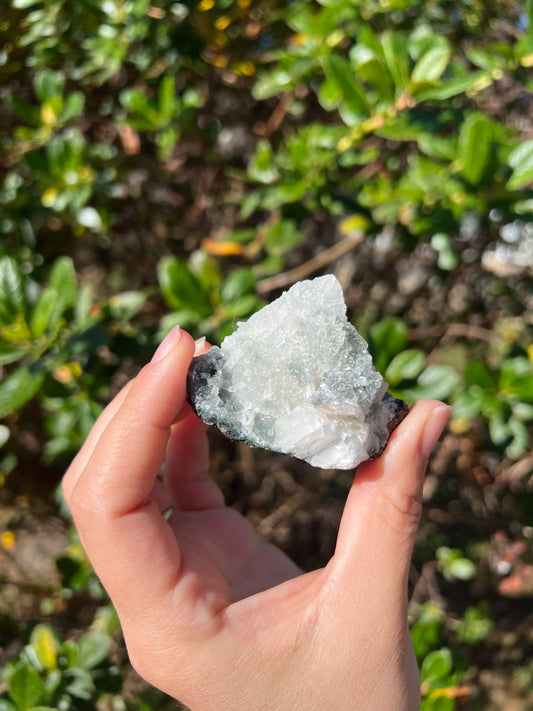 Apophyllite Cluster