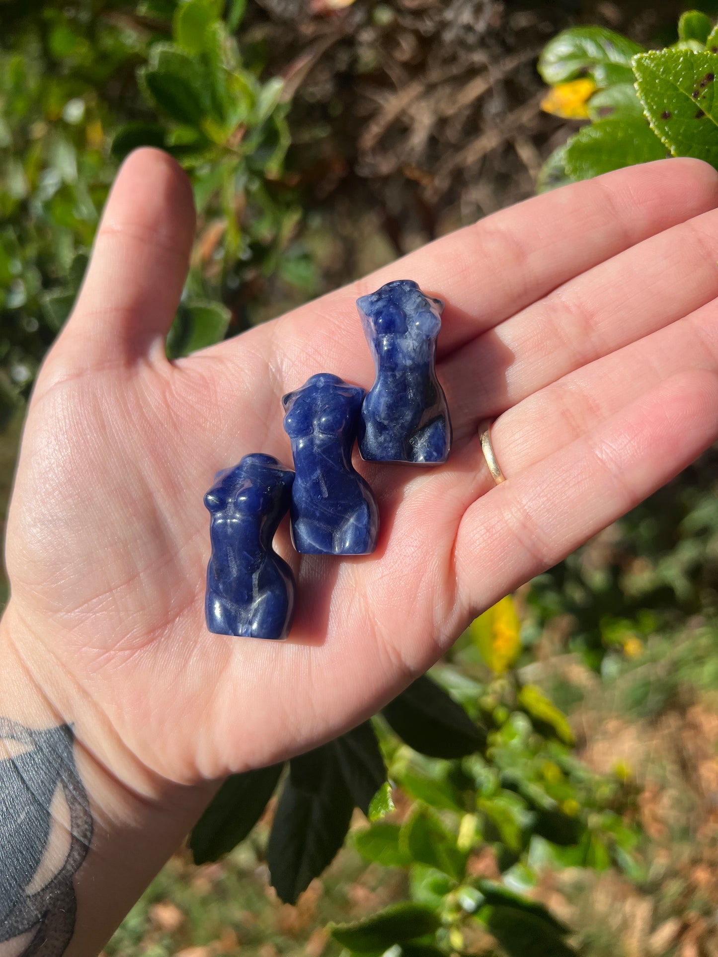 Sodalite Body Carving Mini