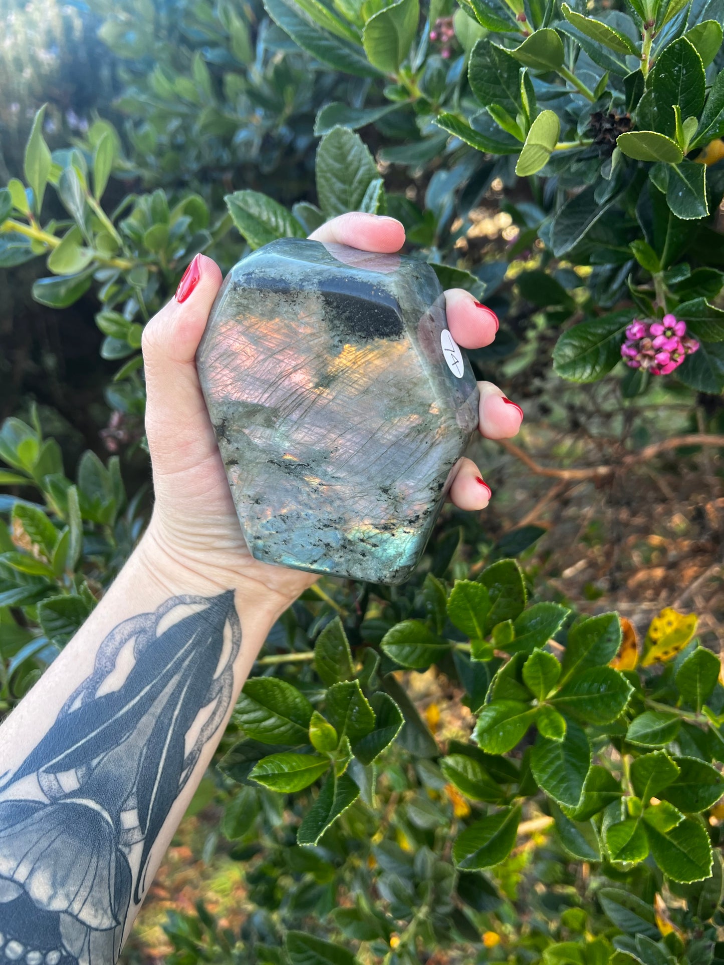 Labradorite Freeform