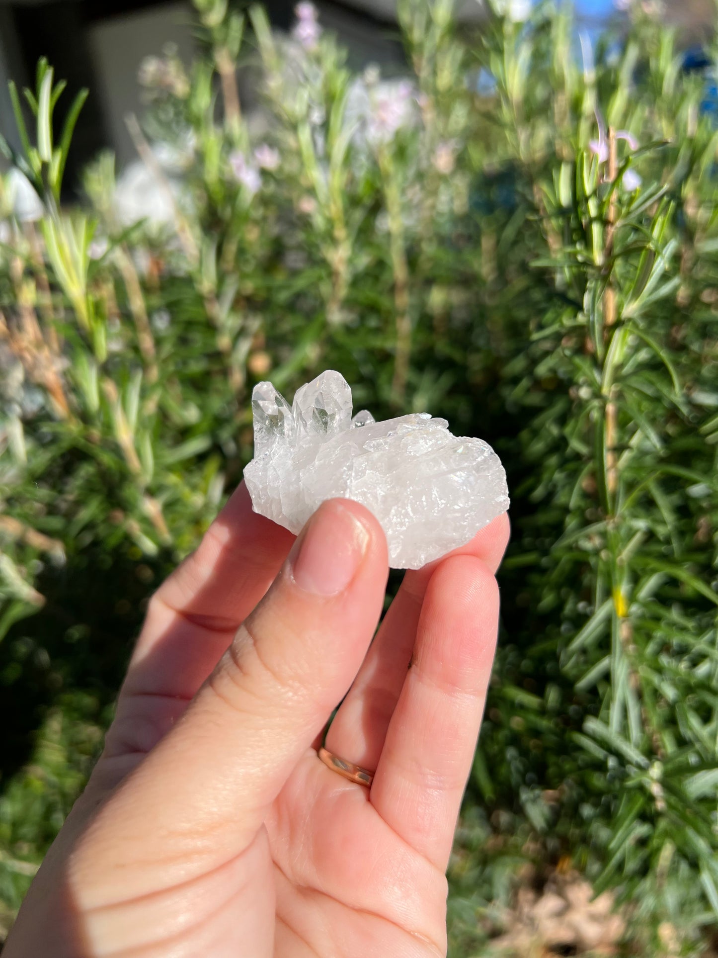 Clear Quartz Cluster