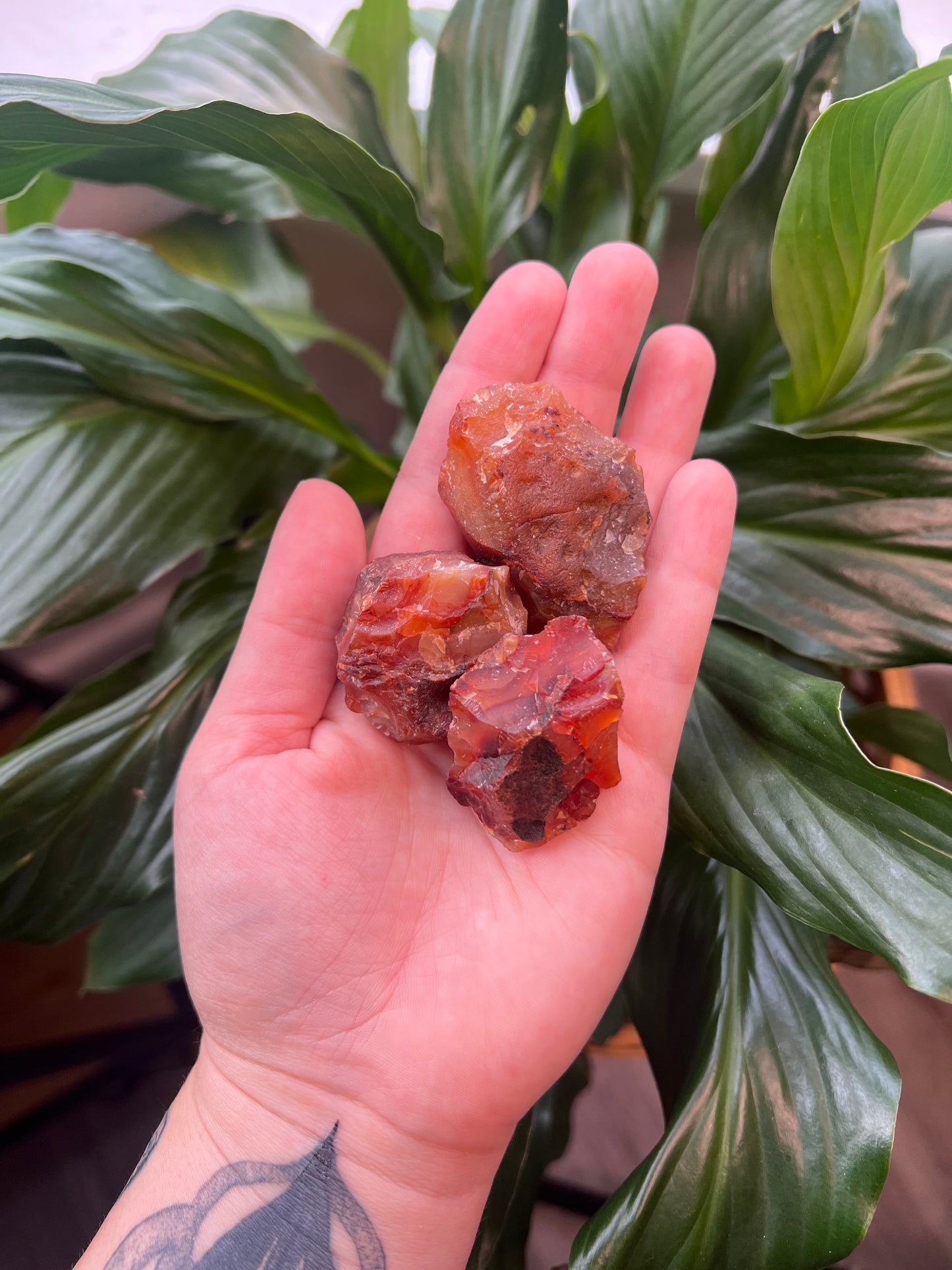 Carnelian Rough