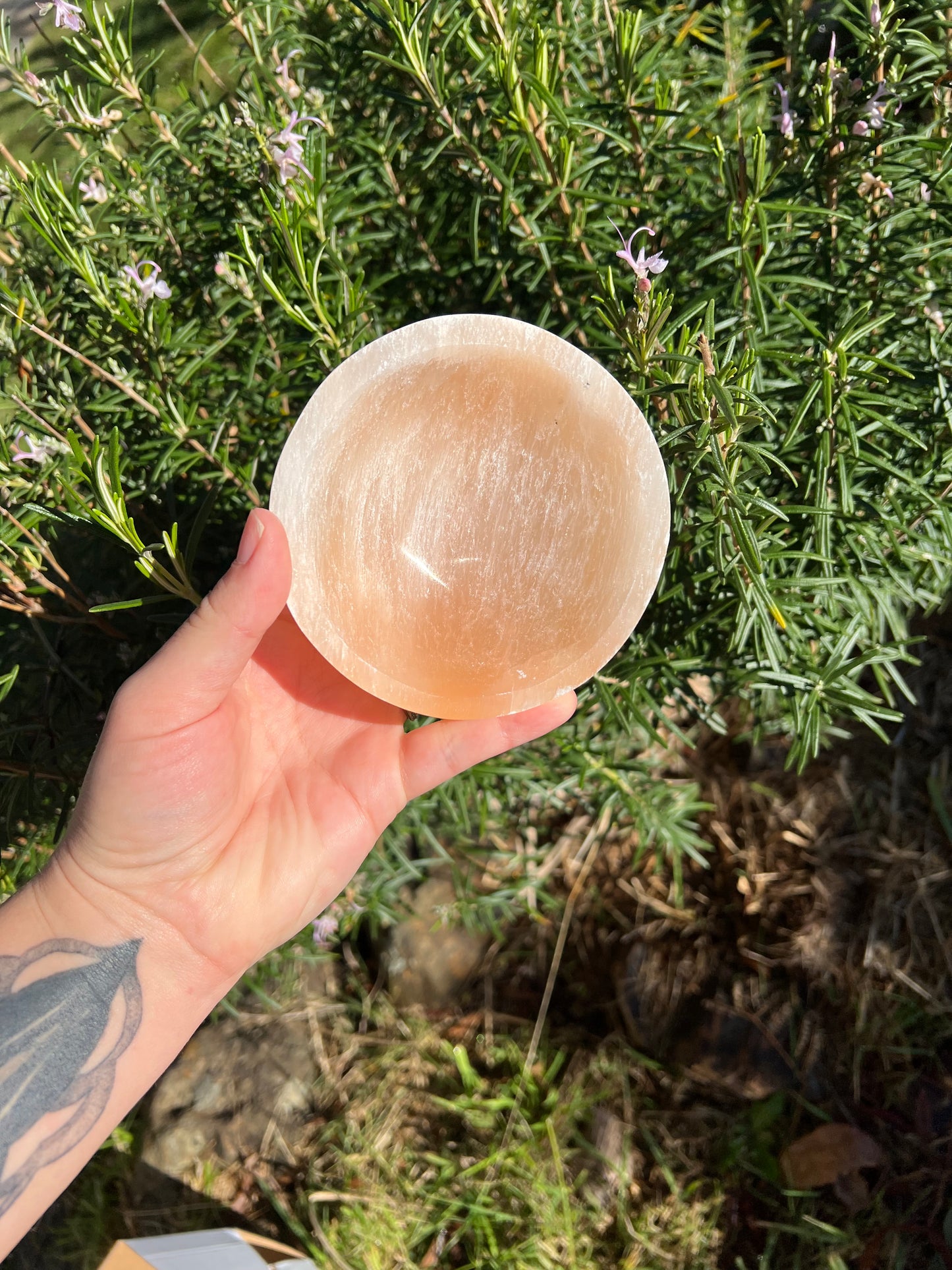Peach Selenite (Satin Spar) Bowl