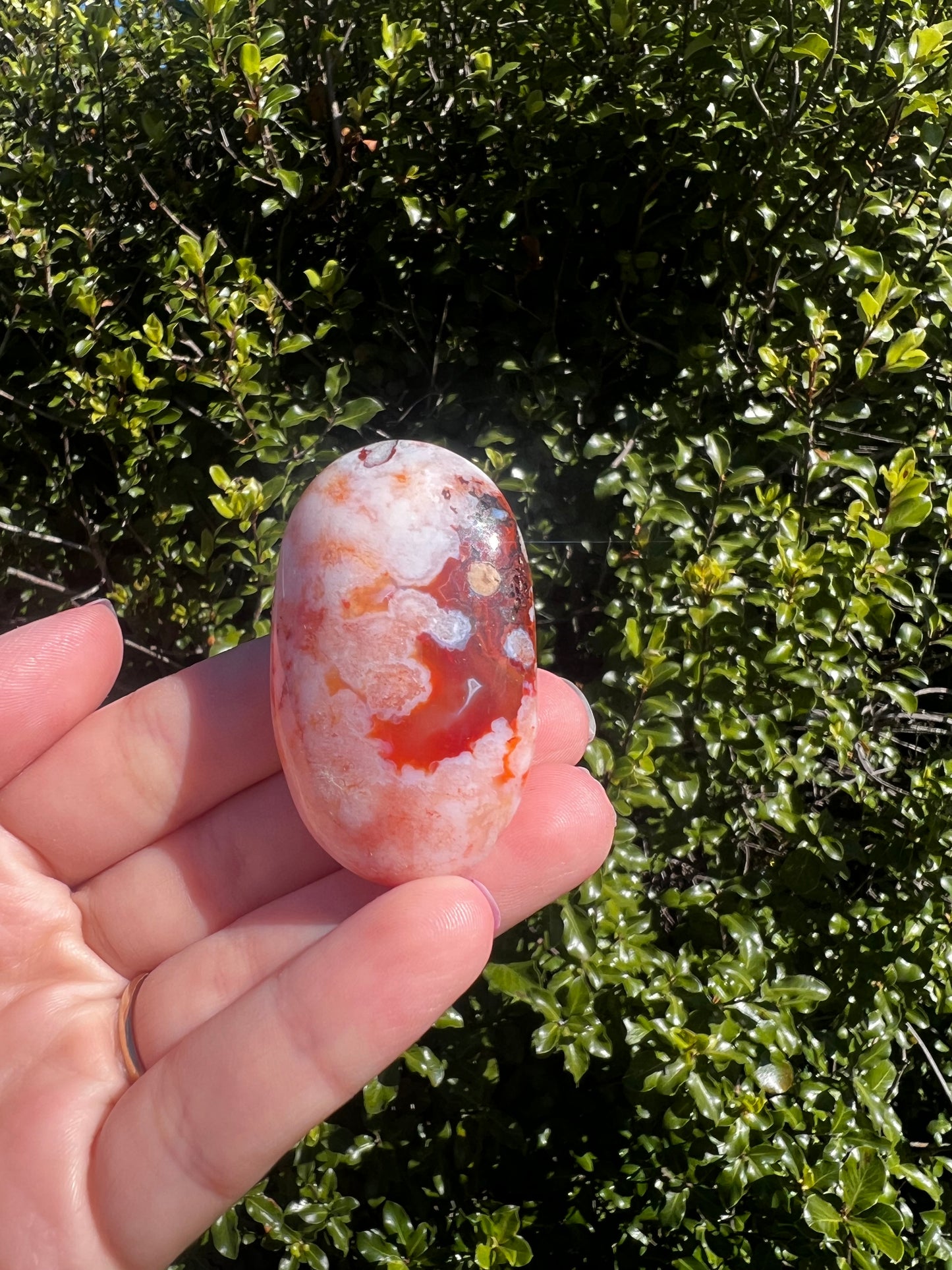 Carnelian Flower Agate Palm Stone