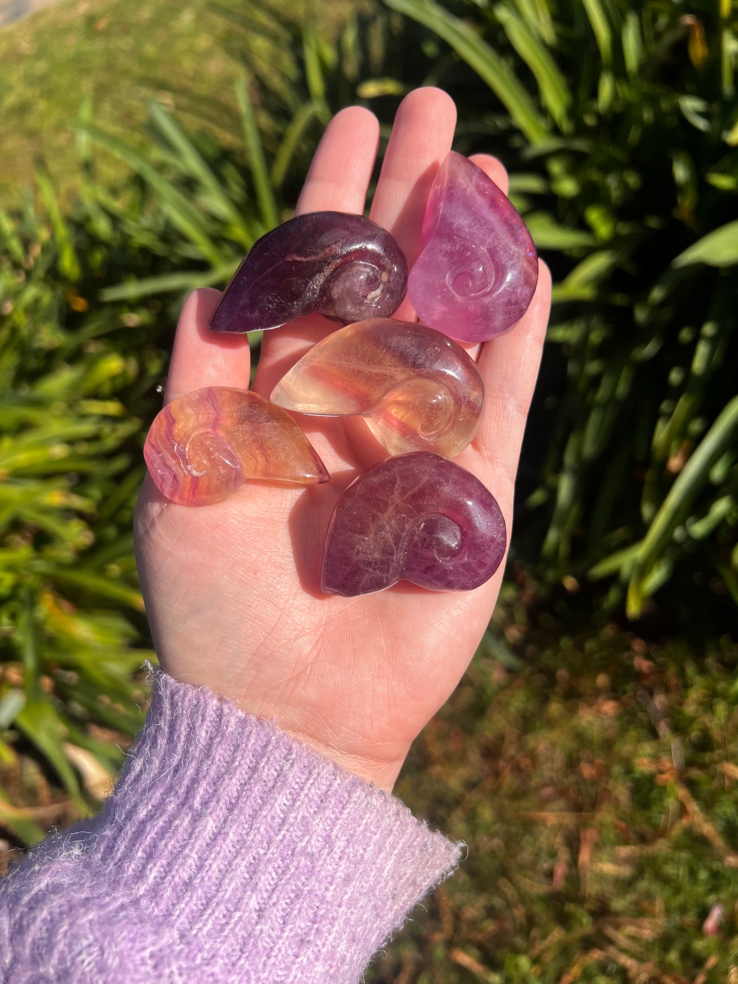 Candy Fluorite Shell Carving