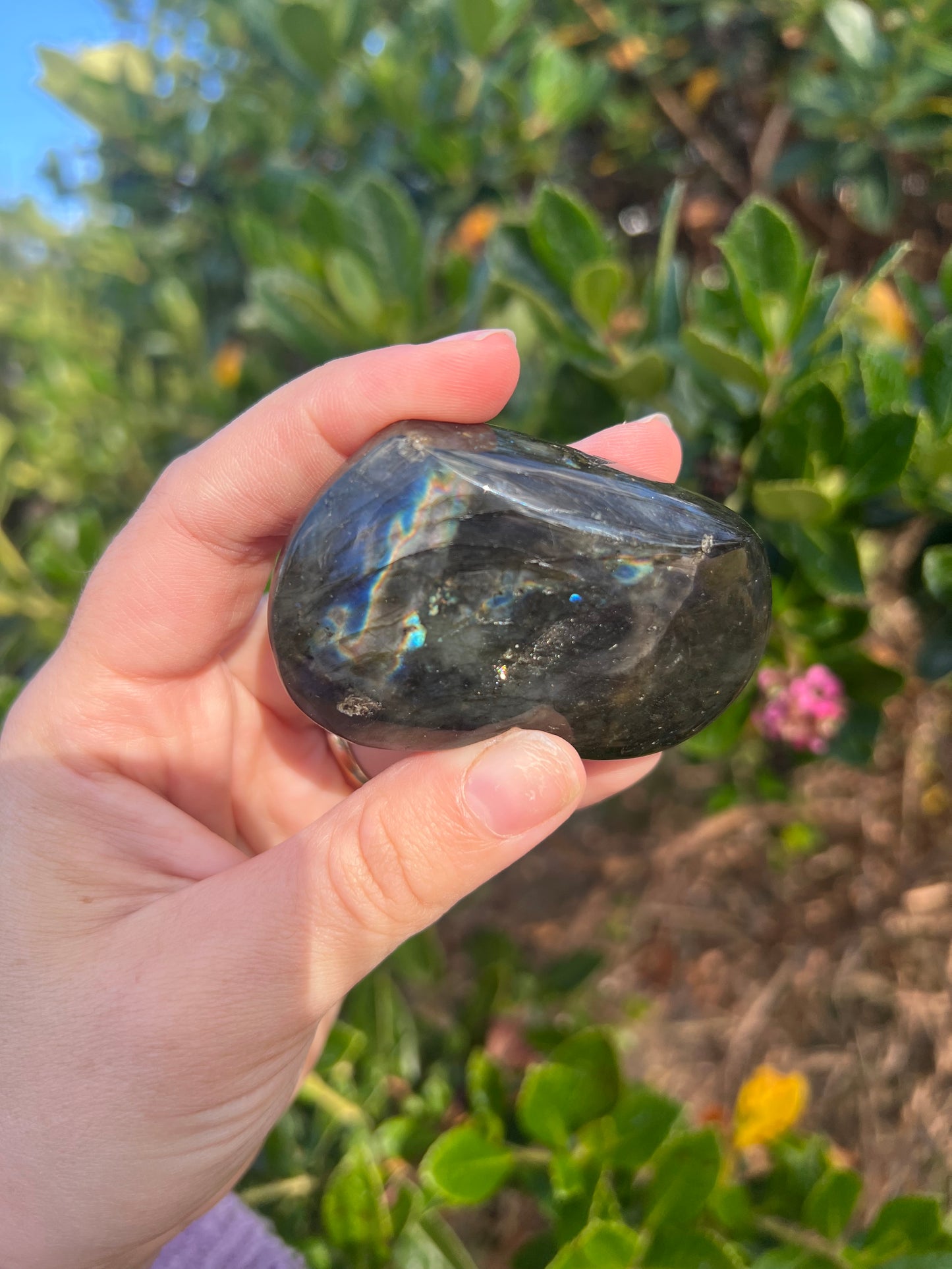Labradorite- Misfit
