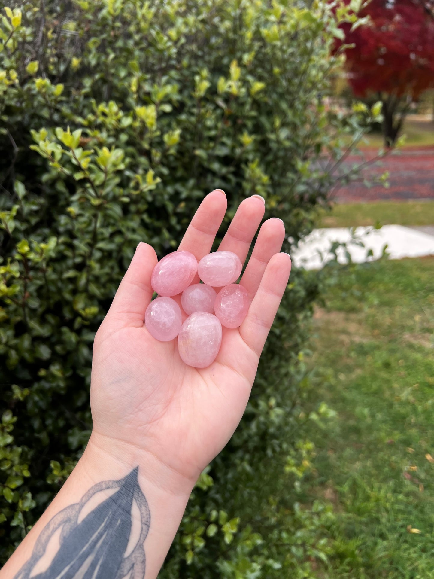 Rose Quartz Tumbles