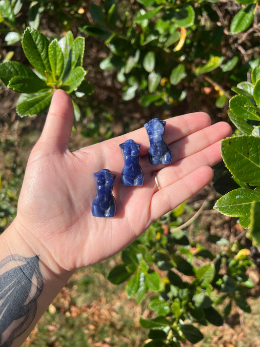 Sodalite Body Carving Mini