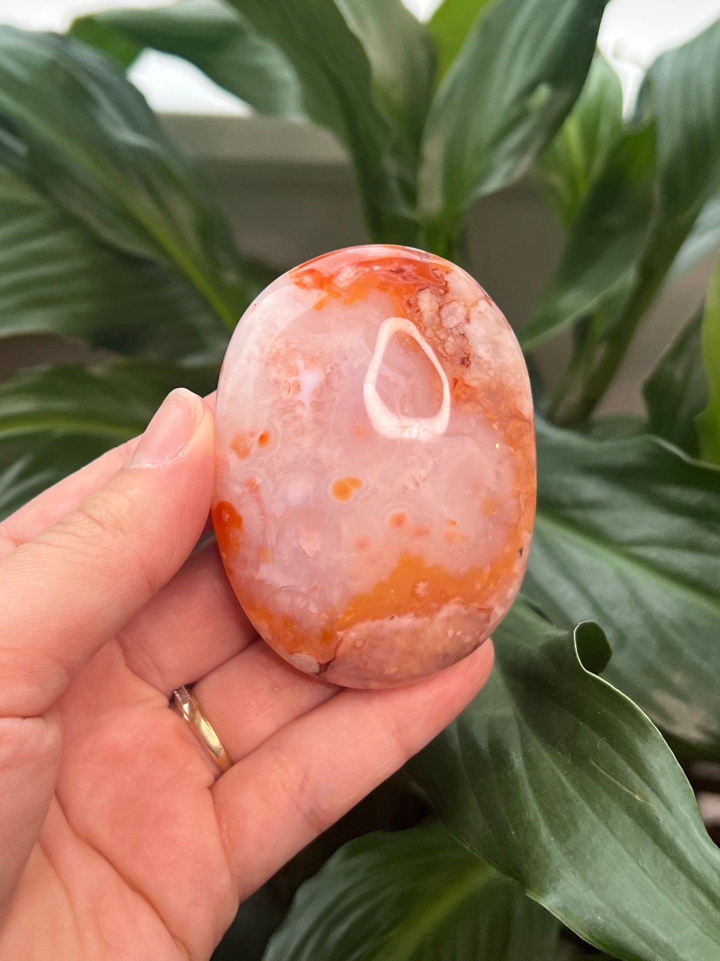 Carnelian Flower Agate Palm Stone
