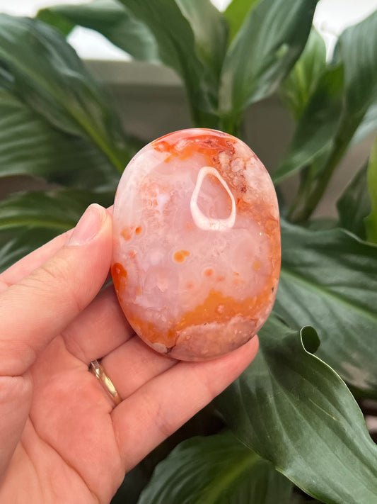 Carnelian Flower Agate Palm Stone