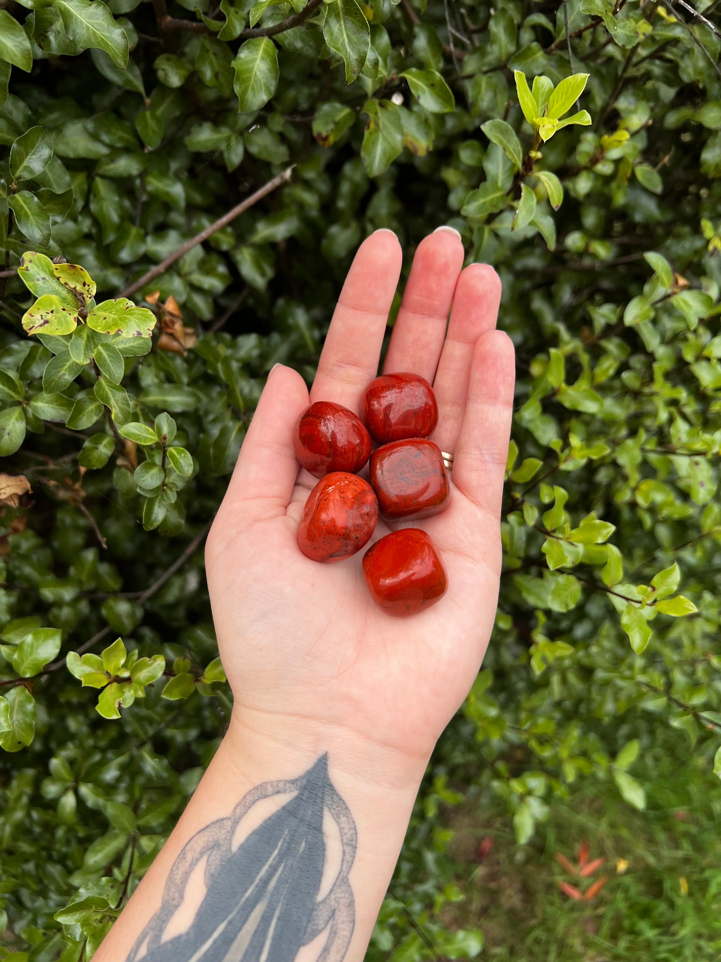 Red Jasper Tumbled Stones