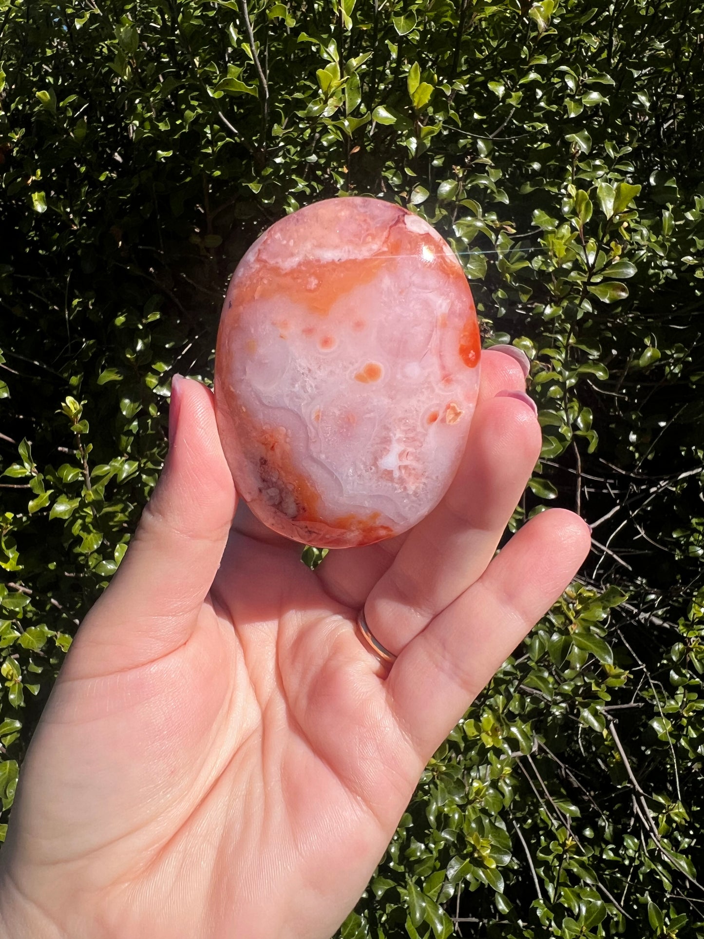 Carnelian Flower Agate Palm Stone