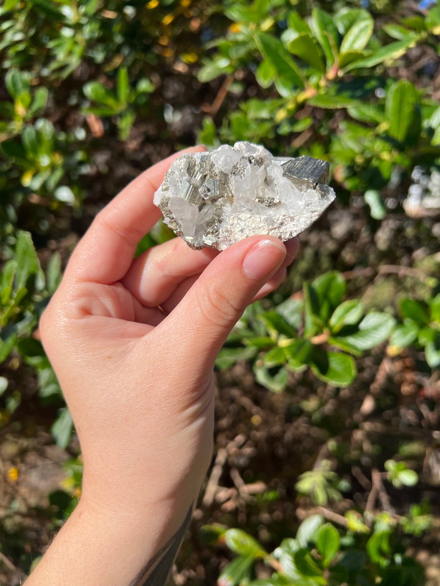 Clear Quartz & Pyrite Cluster