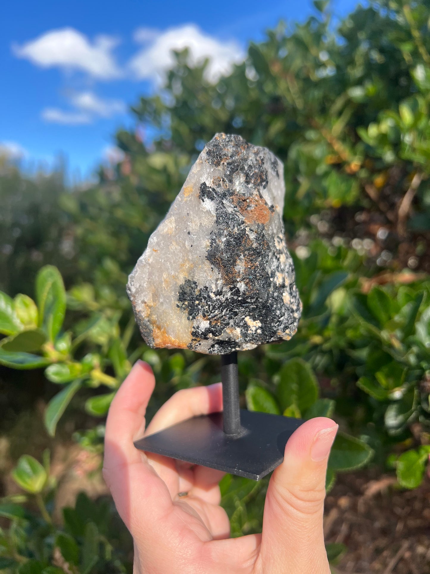 Raw Black Tourmaline in Quartz on Stand