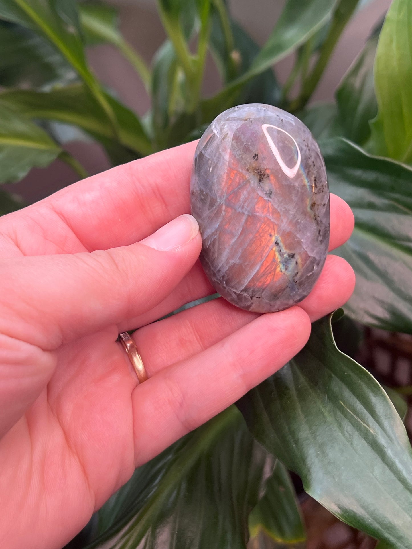 Labradorite Palmstone- Peachy