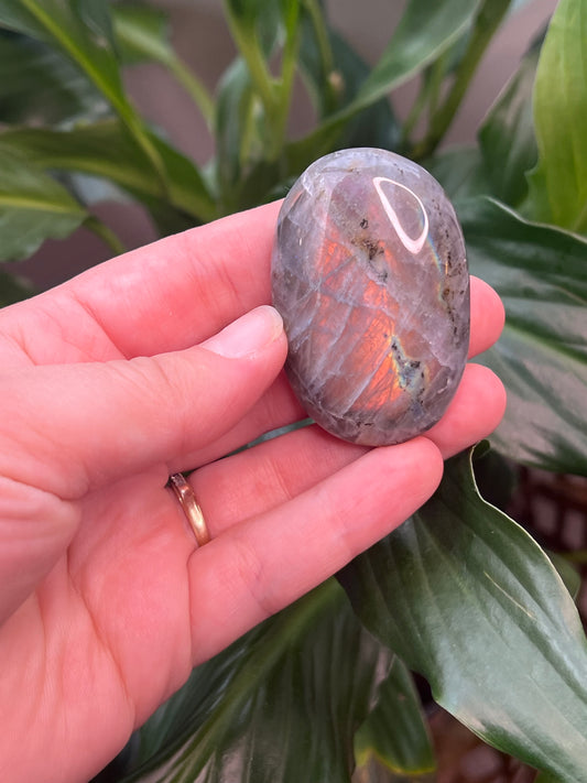 Labradorite Palmstone- Peachy