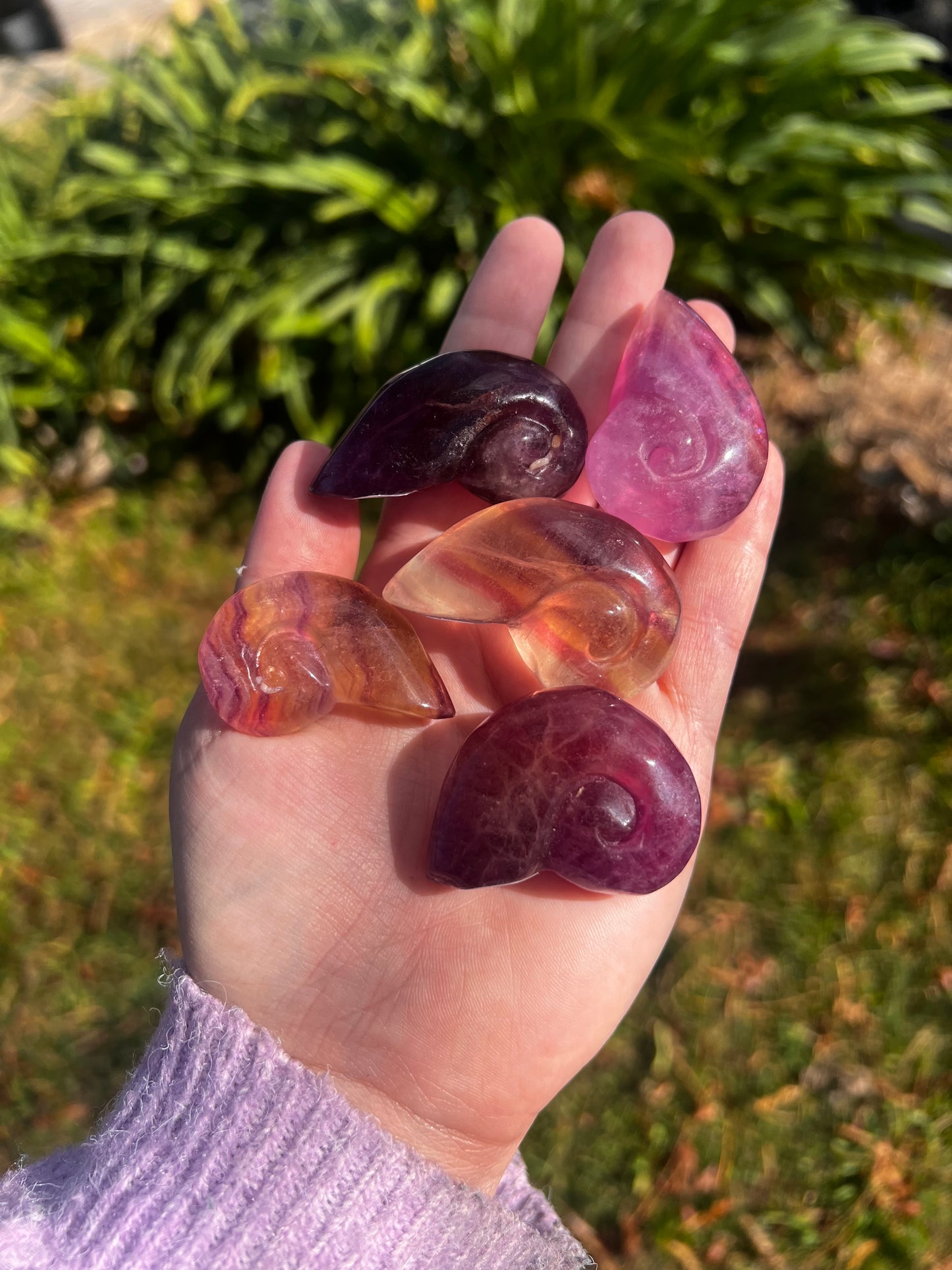 Candy Fluorite Shell Carving