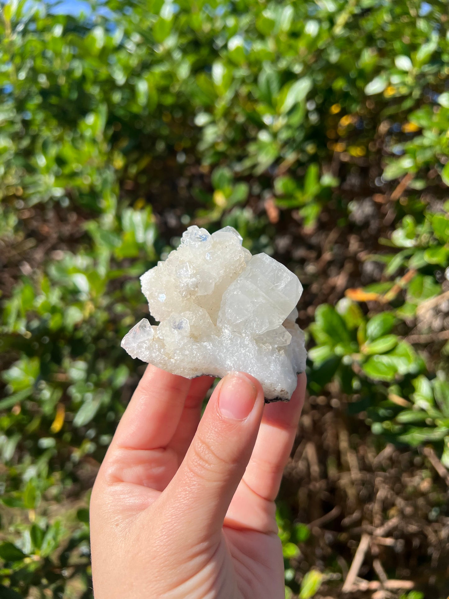 Apophyllite Cluster
