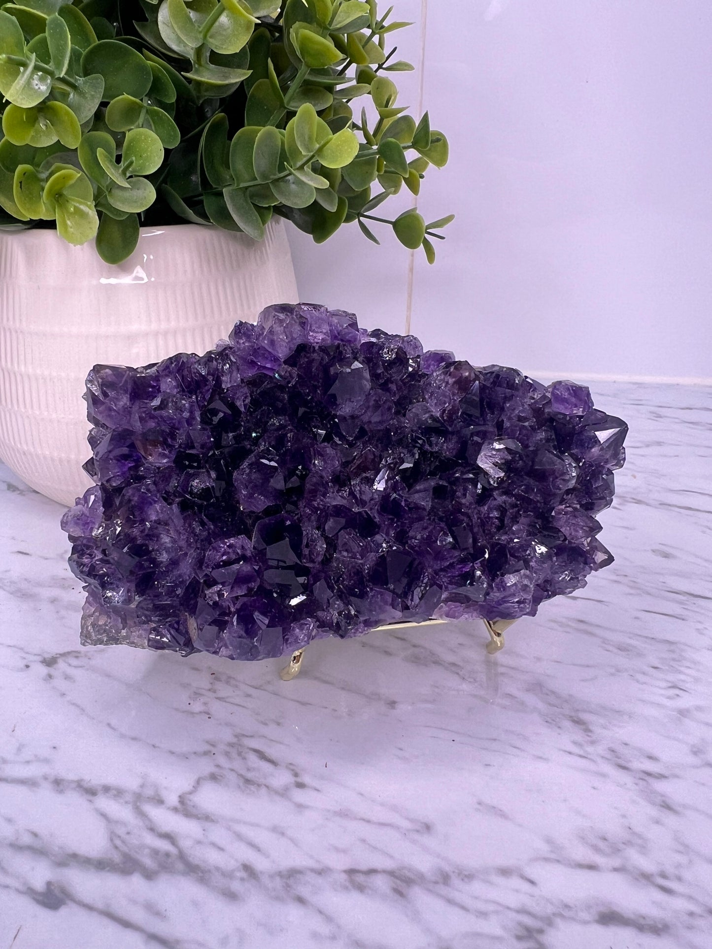 Amethyst Cluster- Statement Piece (From Uruguay)