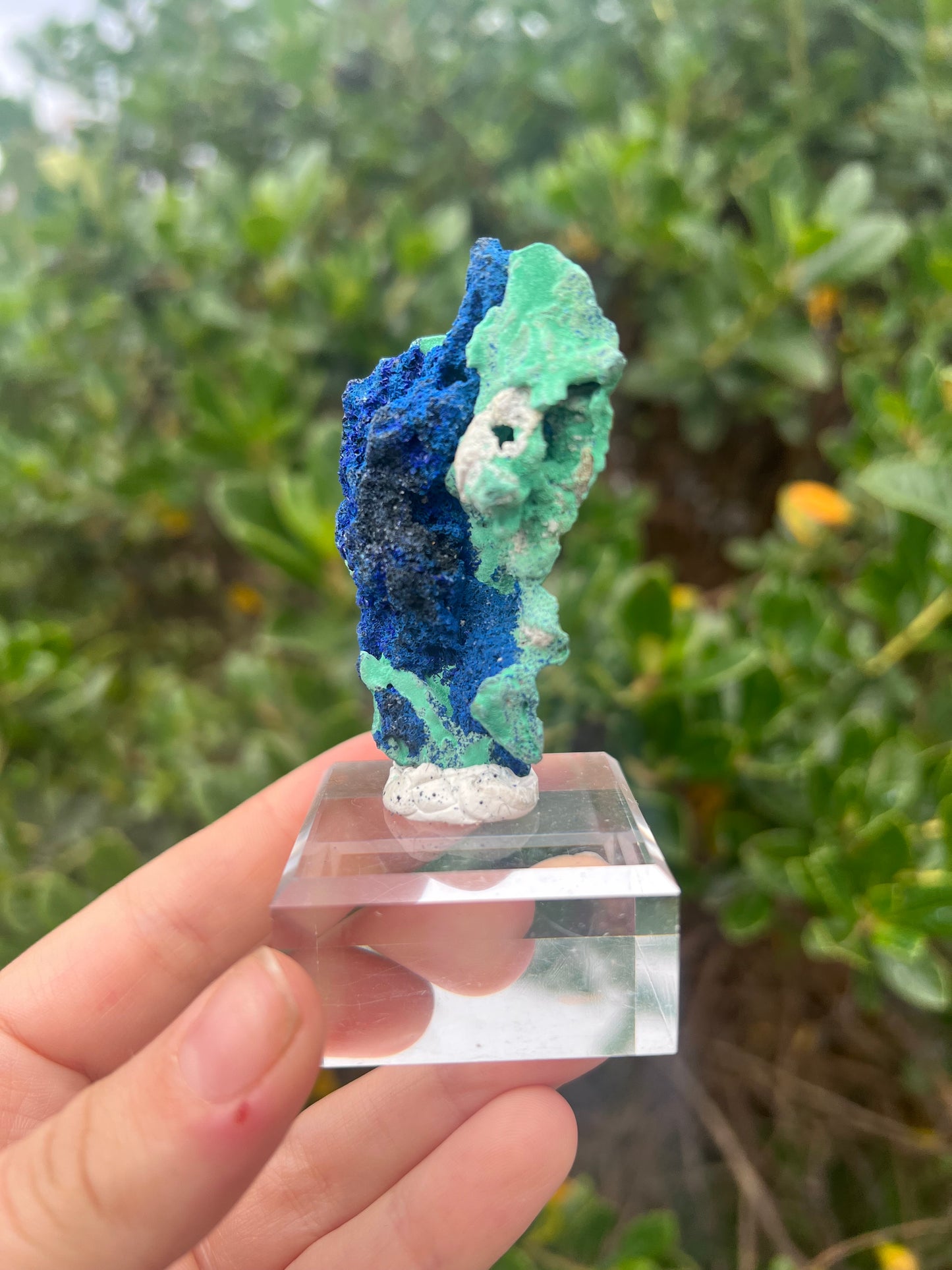 Azurite & Malachite Specimen