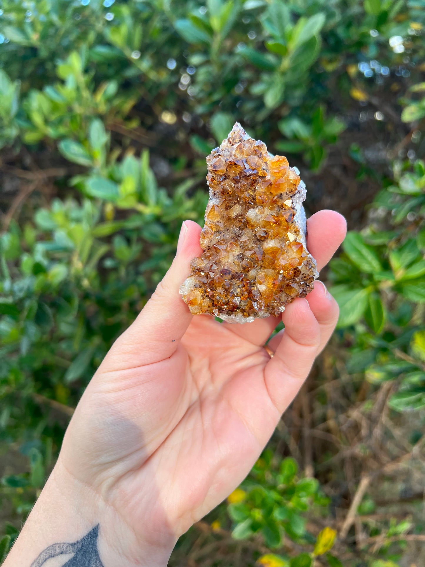 Citrine Cluster (HTA)