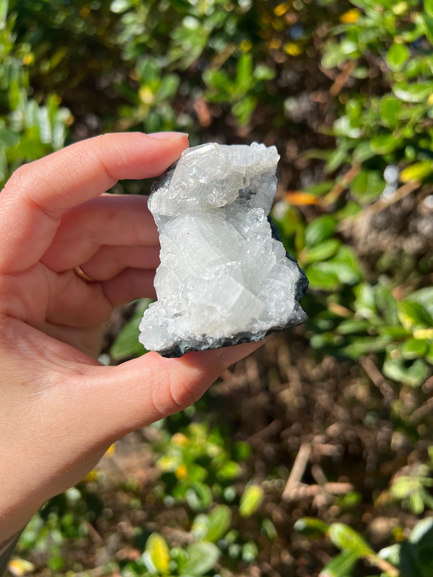 Apophyllite Cluster