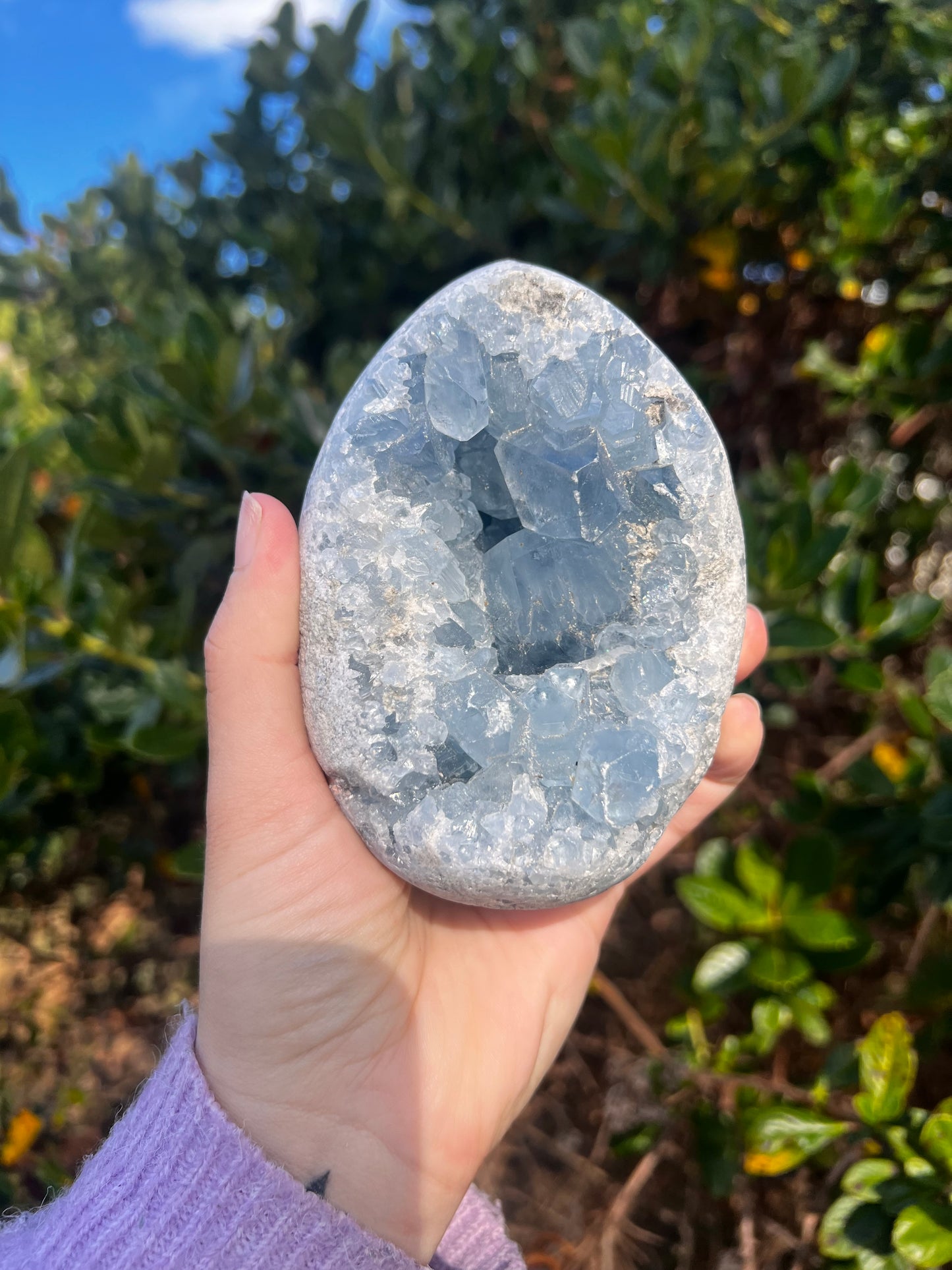 Celestite Egg- Statement Piece